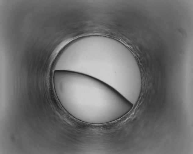 X0000115800200200911131029