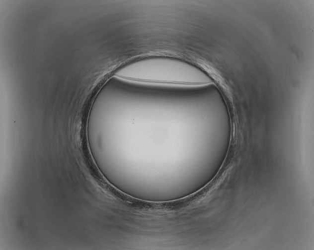 X0000115800201200911131029
