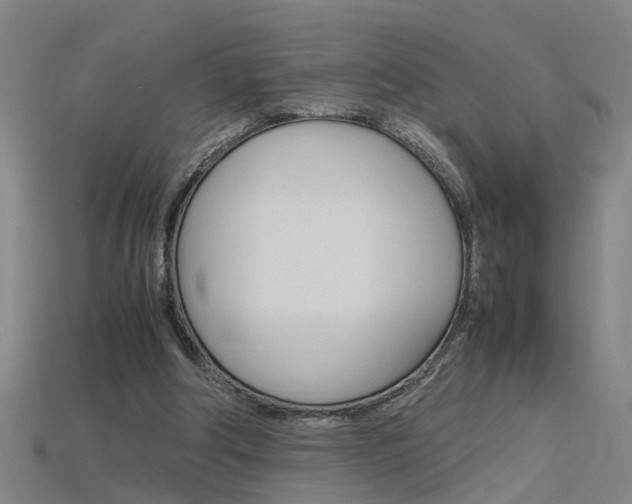 X0000115800202200911131029