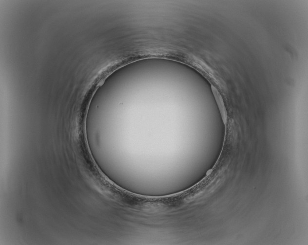 X0000115800203200911131029