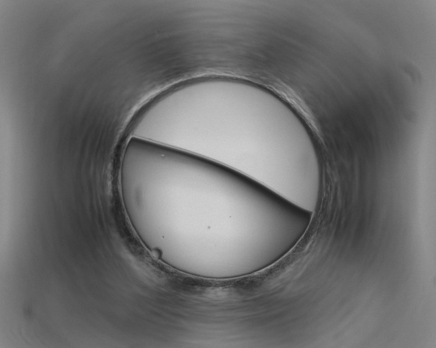 X0000115800204200911131029