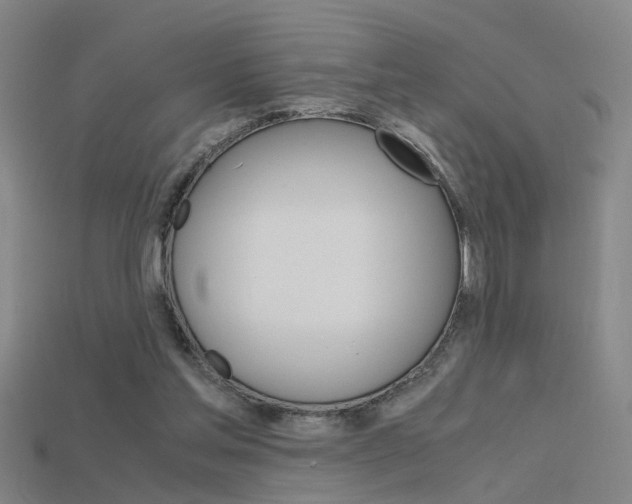X0000115800205200911131029