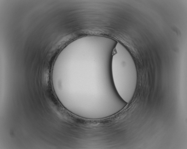 X0000115800206200911131029