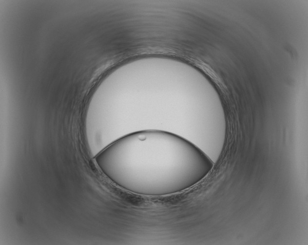 X0000115800207200911131029
