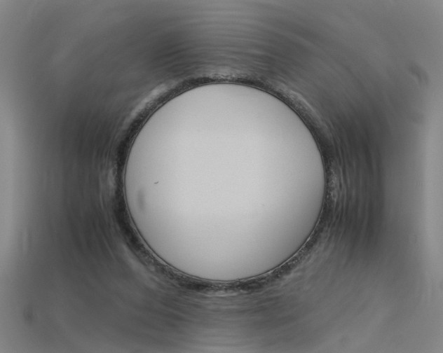 X0000115800208200911131029