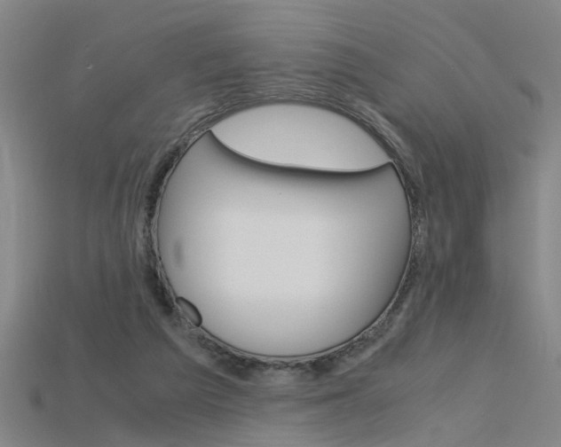 X0000115800209200911131029