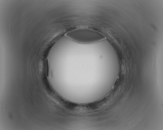 X0000115800211200911131029