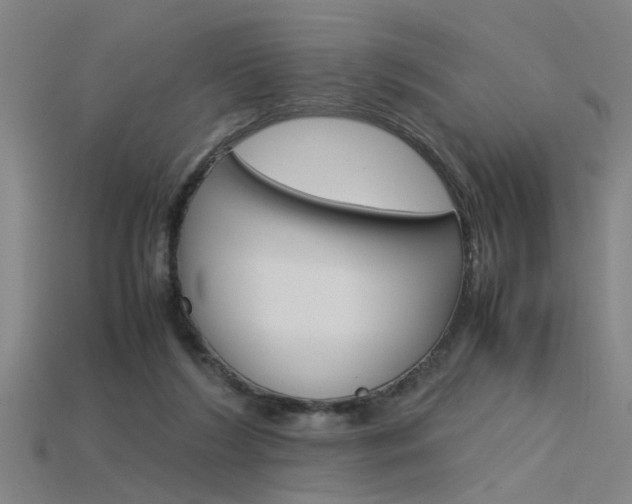 X0000115800212200911131029