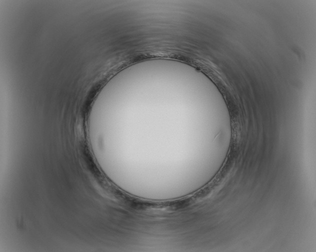 X0000115800213200911131029