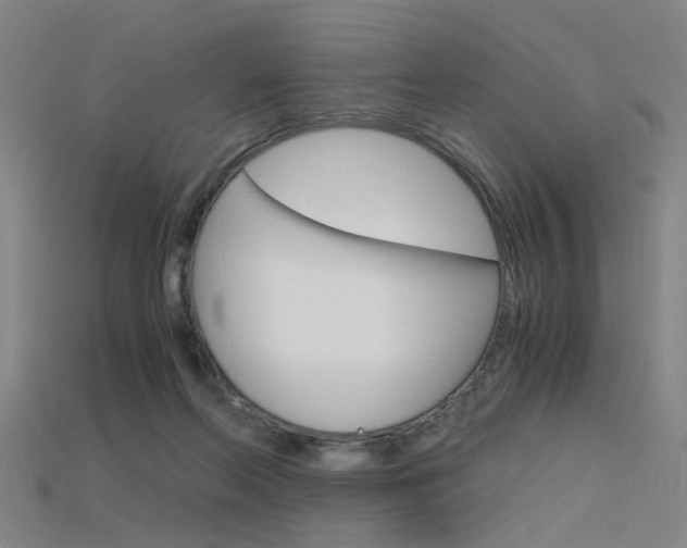 X0000115800214200911131029