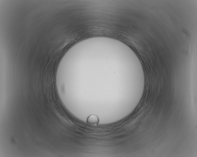 X0000115800215200911131029