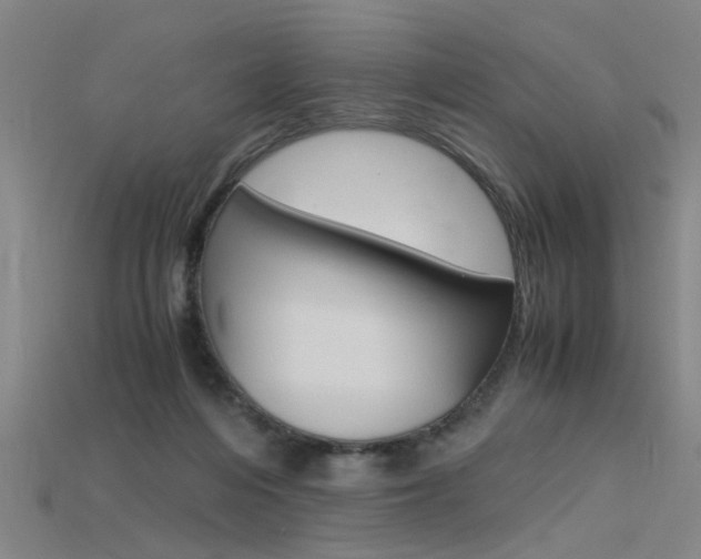 X0000115800216200911131029