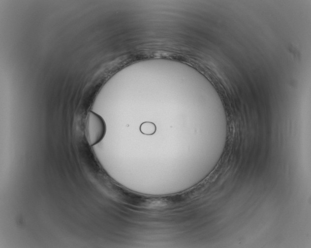 X0000115800218200911131029