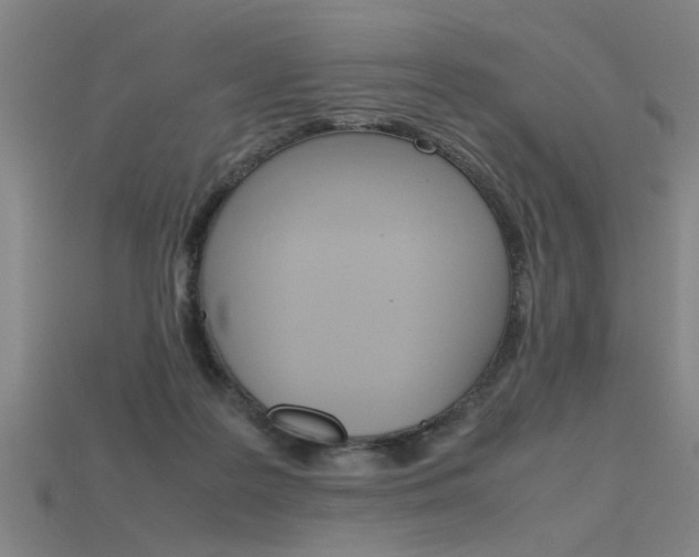 X0000115800219200911131029