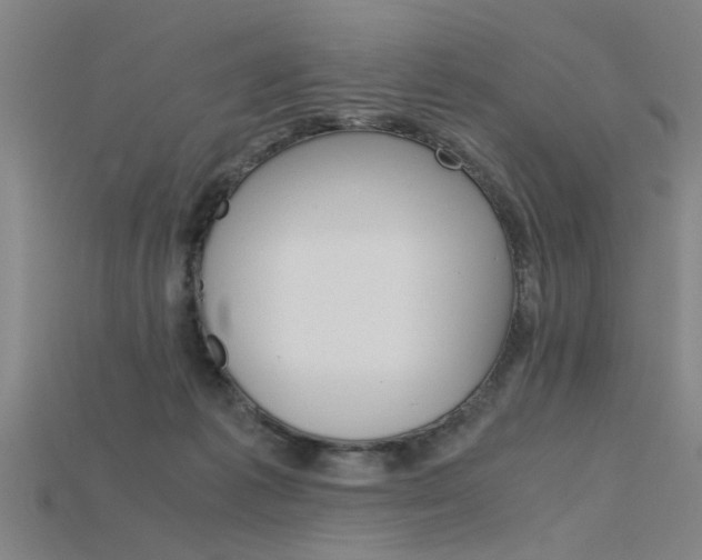 X0000115800221200911131029