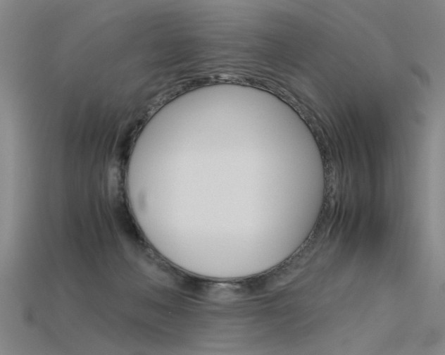 X0000115800222200911131029