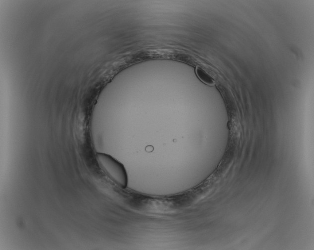 X0000115800223200911131029