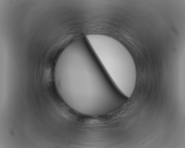 X0000115800224200911131029