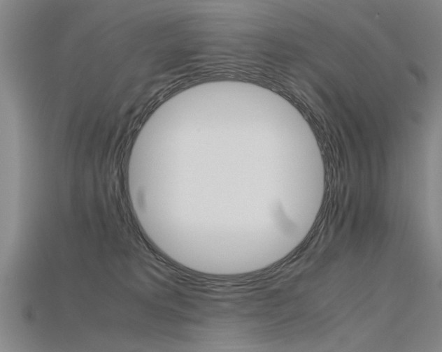X0000115800229200911131029