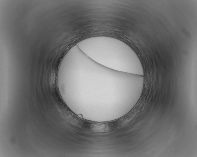 X0000115800230200911131029
