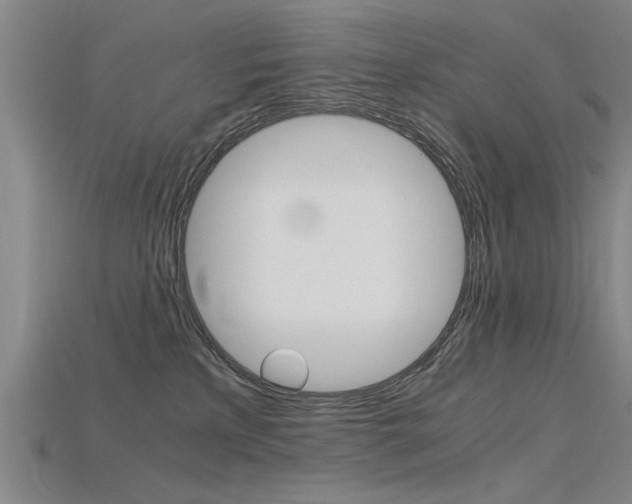 X0000115800233200911131029