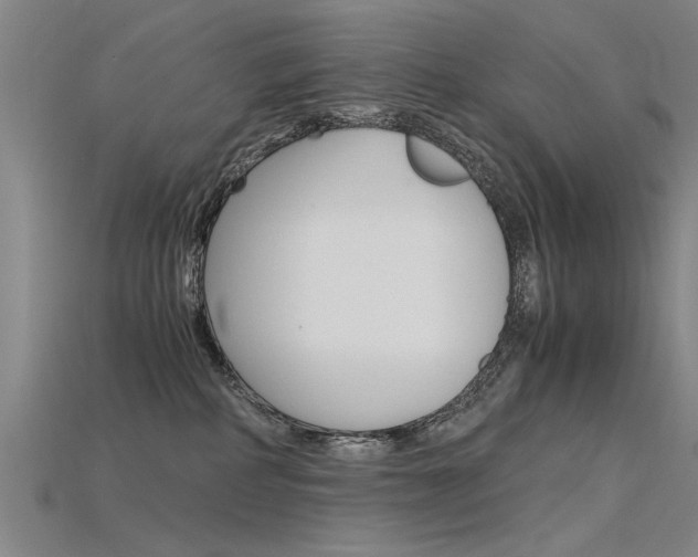 X0000115800234200911131029