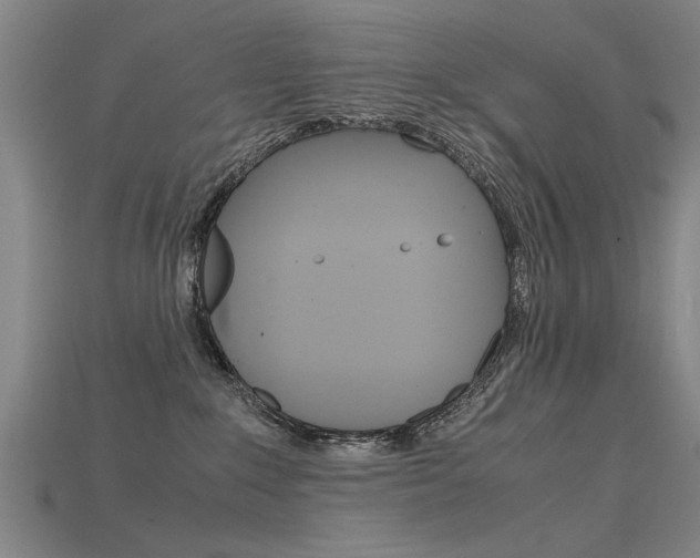 X0000115800235200911131029