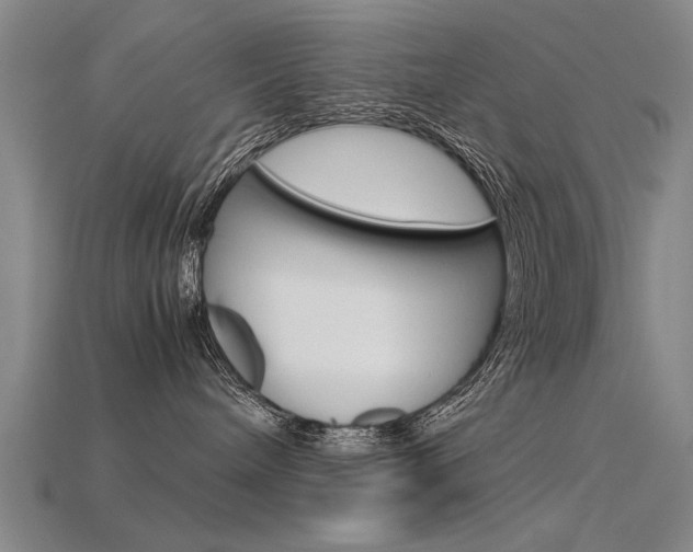 X0000115800240200911131028