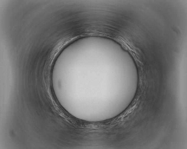 X0000115800241200911131028