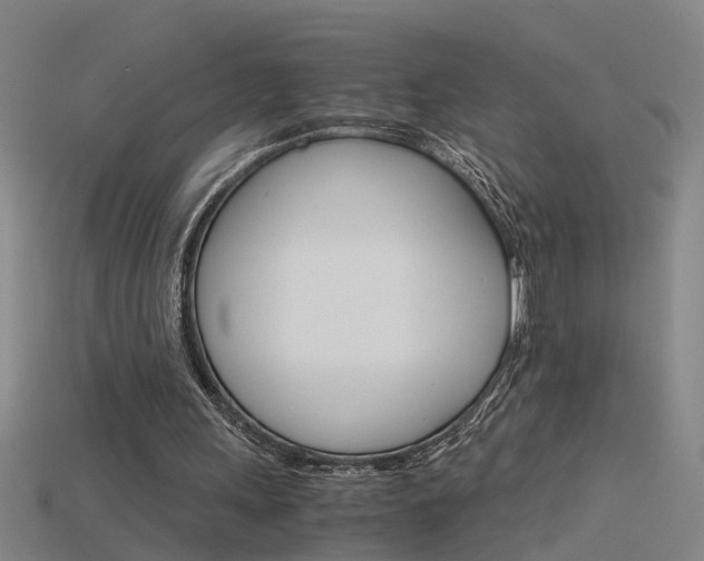 X0000115800243200911131028