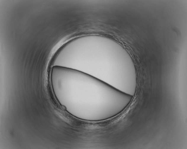 X0000115800246200911131028