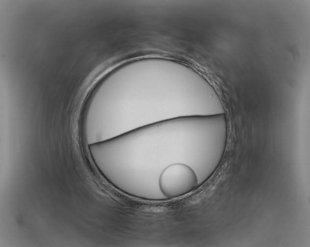 X0000115800247200911131028