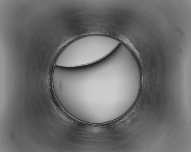 X0000115800249200911131028