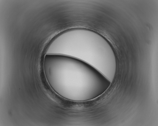X0000115800252200911131028