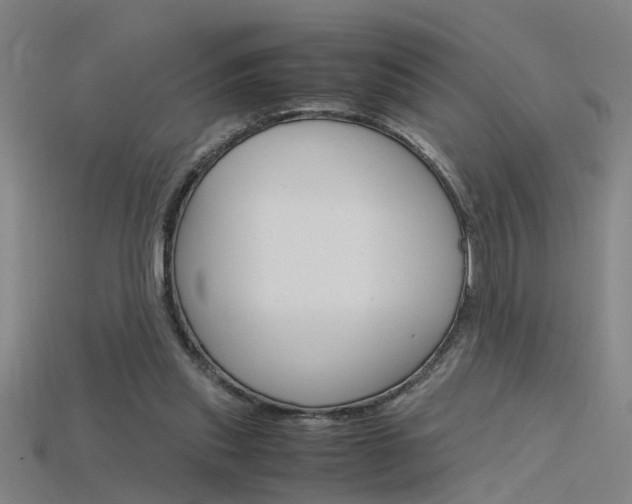 X0000115800253200911131028