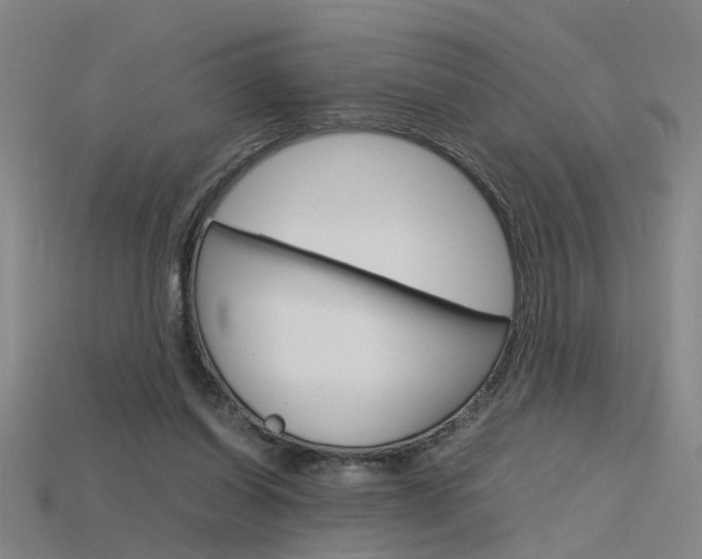 X0000115800254200911131028
