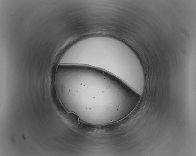 X0000115800256200911131028