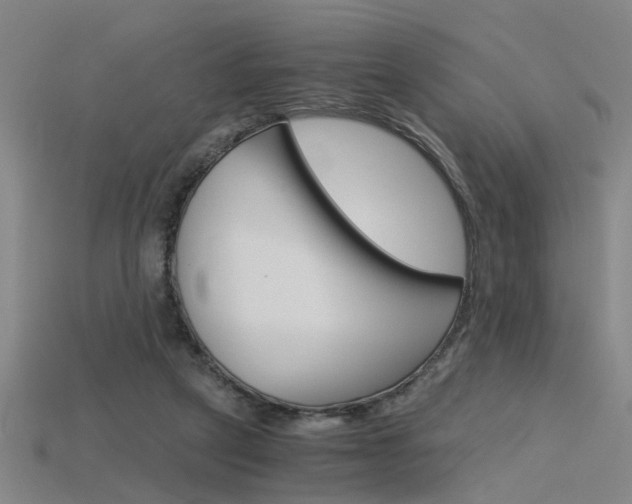 X0000115800257200911131028