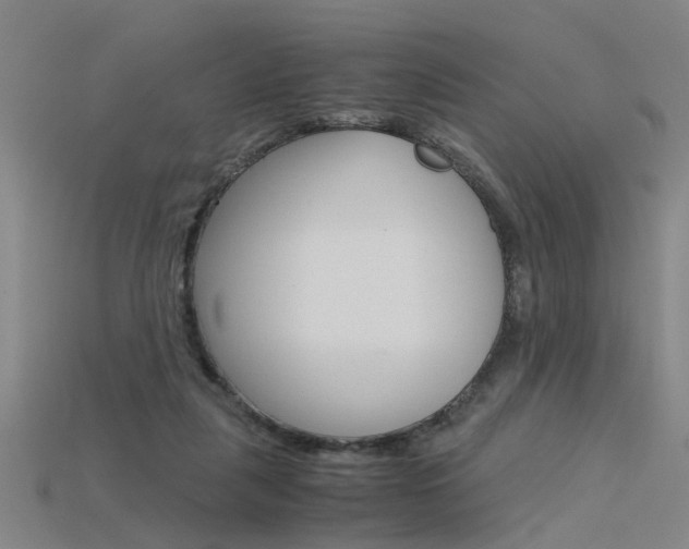 X0000115800259200911131028