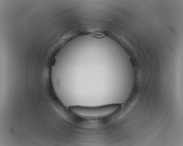 X0000115800260200911131028