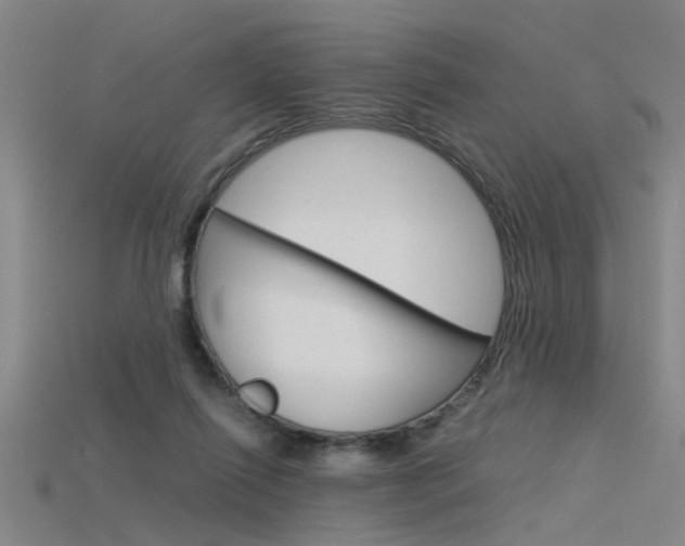 X0000115800262200911131028