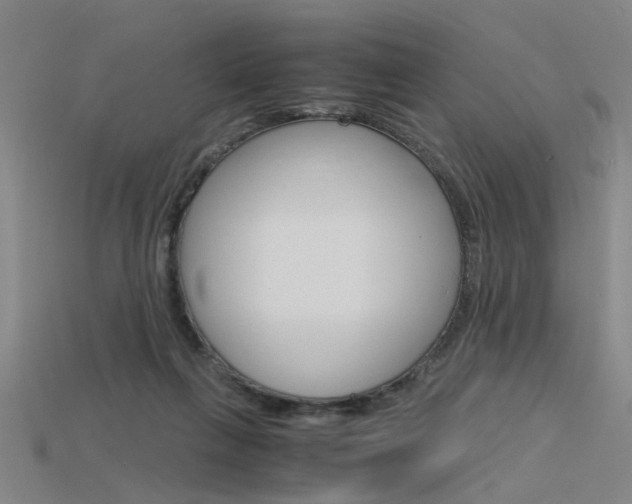 X0000115800263200911131028