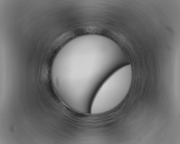 X0000115800266200911131028