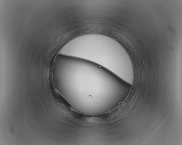 X0000115800268200911131028