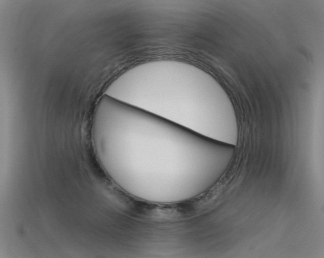 X0000115800270200911131028