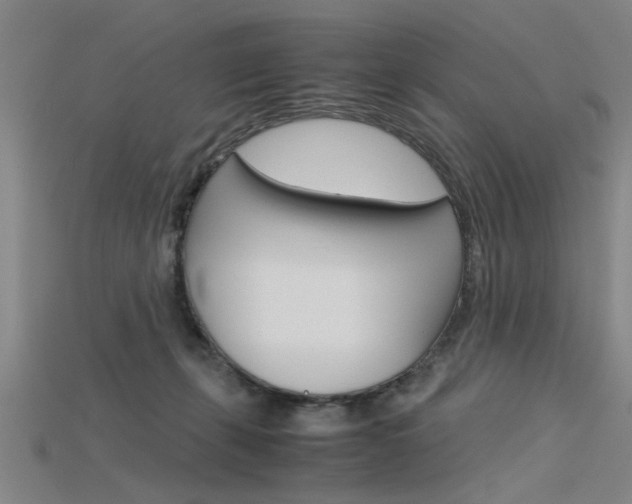 X0000115800271200911131028