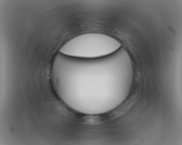 X0000115800273200911131028