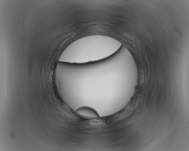 X0000115800279200911131028