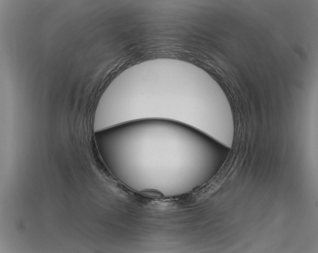 X0000115800280200911131028