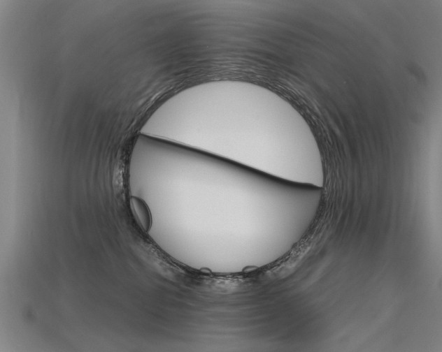 X0000115800282200911131028